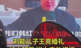 刘能娱乐圈爆料视频,揭秘明星幕后故事