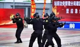 长春市公安局最新爆料,揭秘重大案件背后真相