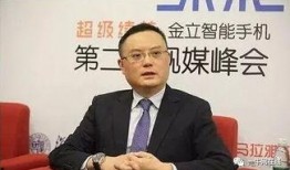 贵州金立公司最新爆料,揭秘行业变革背后的秘密