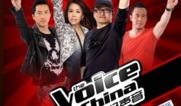 好声音爆料合集完整版视频,揭秘精彩幕后故事与感人瞬间