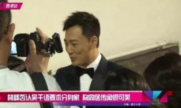 林峯黑新闻爆料,真相与谣言的交织