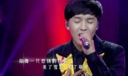 好声音爆料合集完整版视频,揭秘精彩幕后故事与感人瞬间