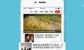 楚天都市新闻爆料,揭秘某事件背后惊人真相