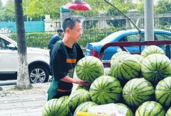 摆摊网红吃瓜视频下载安装,轻松追剧，畅享美食时光