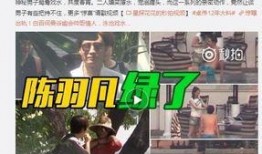 凤凰跟踪爆料是真的吗视频,揭秘视频真相，真相究竟如何？
