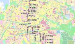武汉宠物爆料案件最新进展,真相逐步浮出水面
