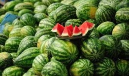 莆田网红吃瓜事件真相,揭秘背后真相与网络舆论的漩涡