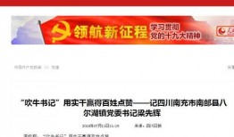 媒体新闻爆料网红有哪些,媒体爆料背后的真相与现象