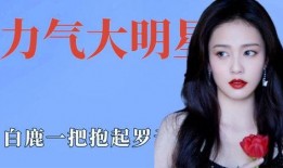 明星白鹿爆料视频大全下载,揭秘明星幕后故事