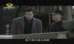 通天神探在线观看,揭秘神秘悬案，在线追索真相之旅