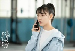 张小寒爆料王安宇视频,真相背后引人深思