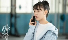 张小寒爆料王安宇视频,真相背后引人深思