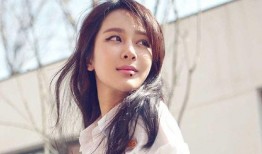 杨紫最新爆料贴子在哪看,揭秘幕后故事，精彩内容抢先看