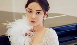 蔡天凤爆料录音视频大全,事件全貌深度解析