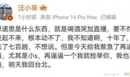 汪小菲微博爆料视频,揭秘背后惊人真相