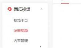 西瓜视频爆料怎么弄,轻松制作概述文章副标题的秘诀