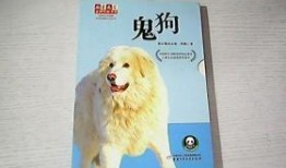 鬼犬在线观看,惊悚悬疑，探寻灵异世界的神秘传说