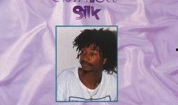 slik 在线观看,探索视觉艺术的新境界