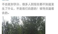 河北美院爆料视频大全最新,揭秘校园风云与艺术魅力