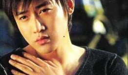 关于陆毅的爆料视频,娱乐圈背后的惊人真相