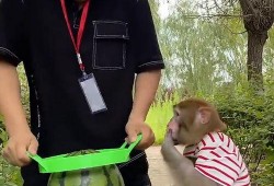 永久免费吃瓜小神器是真的吗,真相大起底！