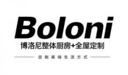 武汉最新爆料博洛尼,揭秘家居巨头背后的故事