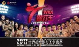 武术世界直播在线观看,武术世界直播在线观看盛宴