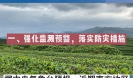 农业新闻爆料,揭秘最新农业动态与热点事件