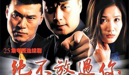 绝不放过在线观看,揭秘在线观看背后的精彩故事