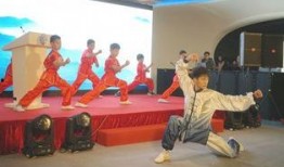 武术世界直播在线观看,武术世界直播在线观看盛宴