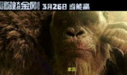 金刚国语电影在线观看,重返帝国巅峰——在线观影指南