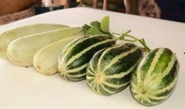 射阳网红吃瓜事件,揭秘网络舆论背后的真相与争议