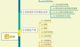 雪糕阿姨爆料视频大全集,揭秘幕后真相与感人瞬间