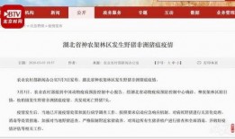农业新闻爆料,揭秘最新农业动态与热点事件