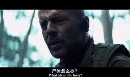 太阳之泪完整在线观看,穿越时空的深情救赎