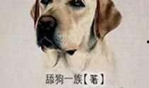 娱乐圈吃瓜小狗小说,吃瓜小狗的甜蜜复仇之旅