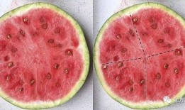 科技大免费吃瓜,揭秘大企业背后的“吃瓜”秘密