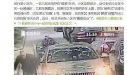 老伯碰瓷爆料视频播放在线观看,网络直播揭露惊人真相