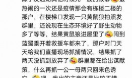 免费吃瓜群资源群,畅享娱乐盛宴的秘密通道