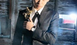 爆料娱乐圈董子健小说,揭秘明星背后的爱情与事业