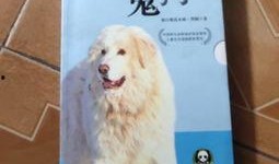鬼犬在线观看,惊悚悬疑，探寻灵异世界的神秘传说
