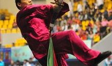 武术世界直播在线观看,武术世界直播在线观看盛宴