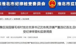 新闻节目爆料电话号码,新闻节目爆料电话号码曝光，真相即将揭晓