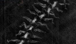 人体蜈蚣2在线观看,惊悚升级，生死较量再掀高潮