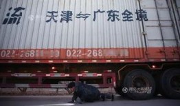 梅大高速90后货车司机最新爆料,90后司机生存困境与行业挑战