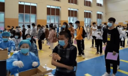 郑州甘蔗爆料最新消息,最新进展揭秘郑州甘蔗市场动态