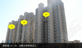 安阳碧桂园爆料最新消息,项目动态及进展全解析