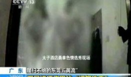 央视暗访爆料视频大全,视频大全背后的真实世界