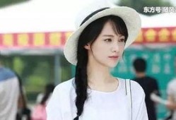 杨洋郑爽娱乐圈爆料,真相与传闻的交织