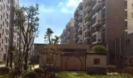 张小姐最新爆料网址大全,最新爆料网址大全大汇总